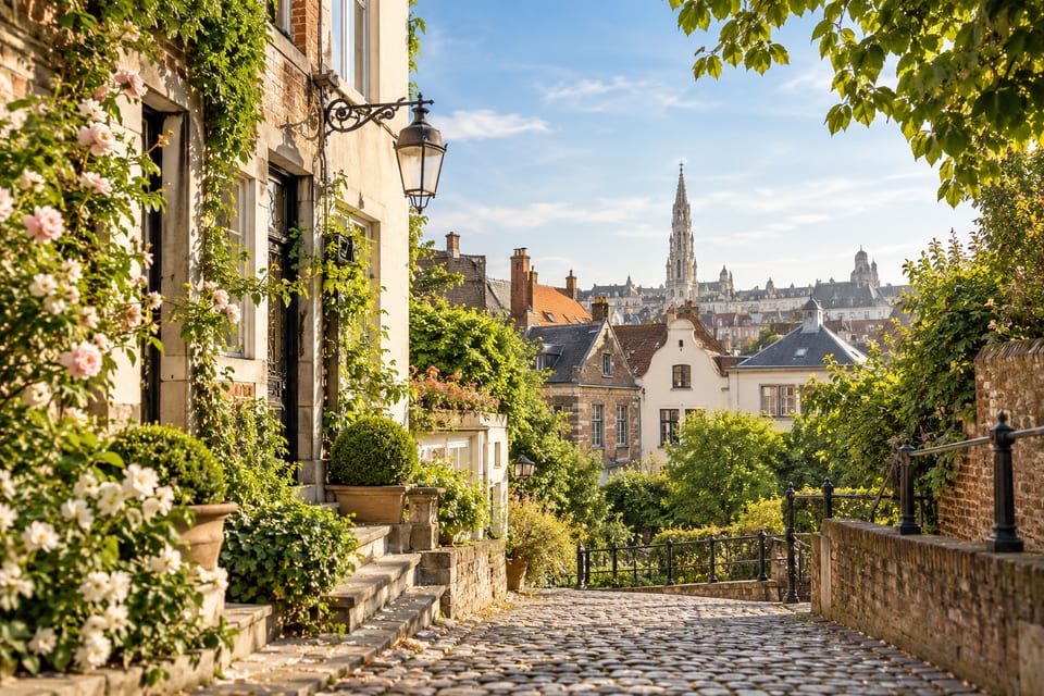 Vue complémentaire de Bruxelles