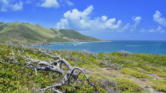Vue de Saint-Martin, Saint-Martin