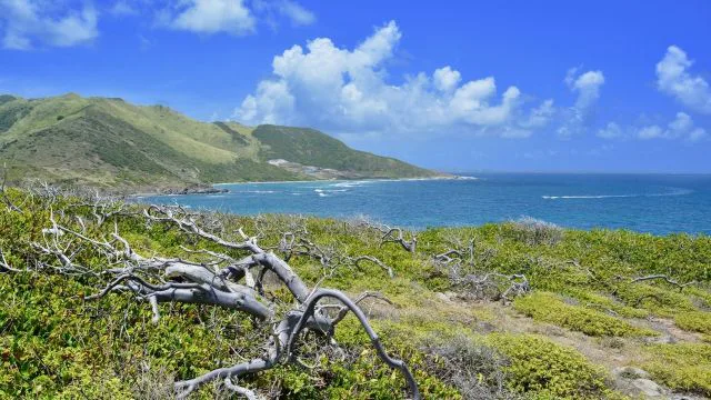 Destination : Saint-Martin, destination de vols DOM-TOM