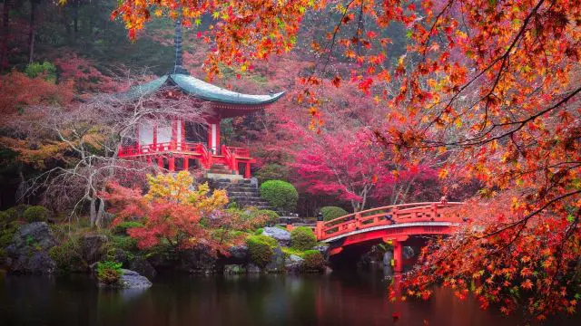 Photo Japon