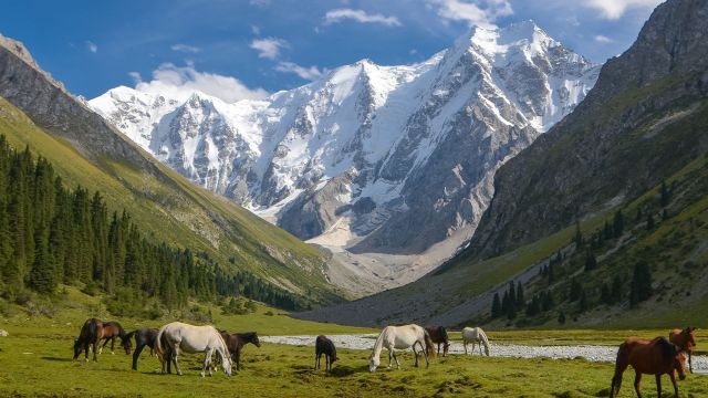 Photo Kirghizistan