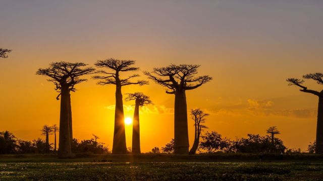 Photo Madagascar