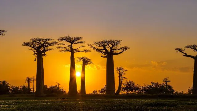 Photo Madagascar