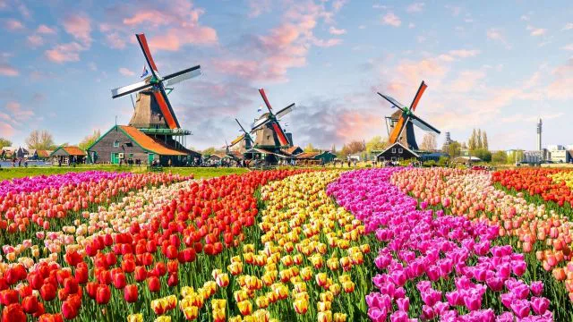 Photo Amsterdam