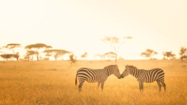 Photo Tanzanie