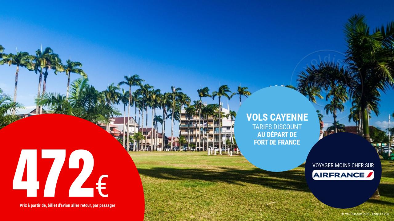 Vol aller retour Fort de France Cayenne Air France