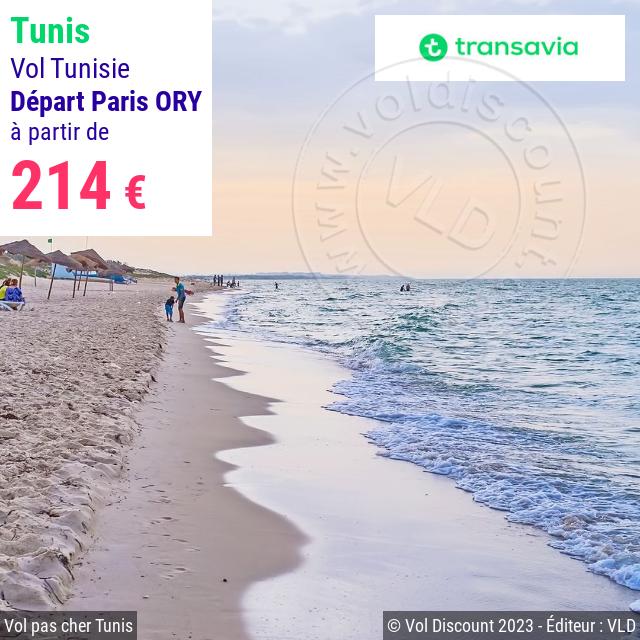 Vol discount Paris Tunis
