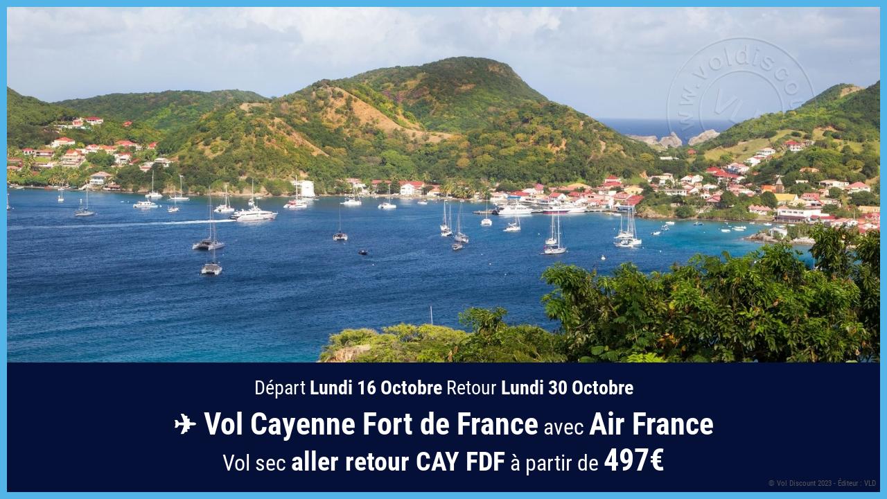 Vol moins cher Fort de France Air France