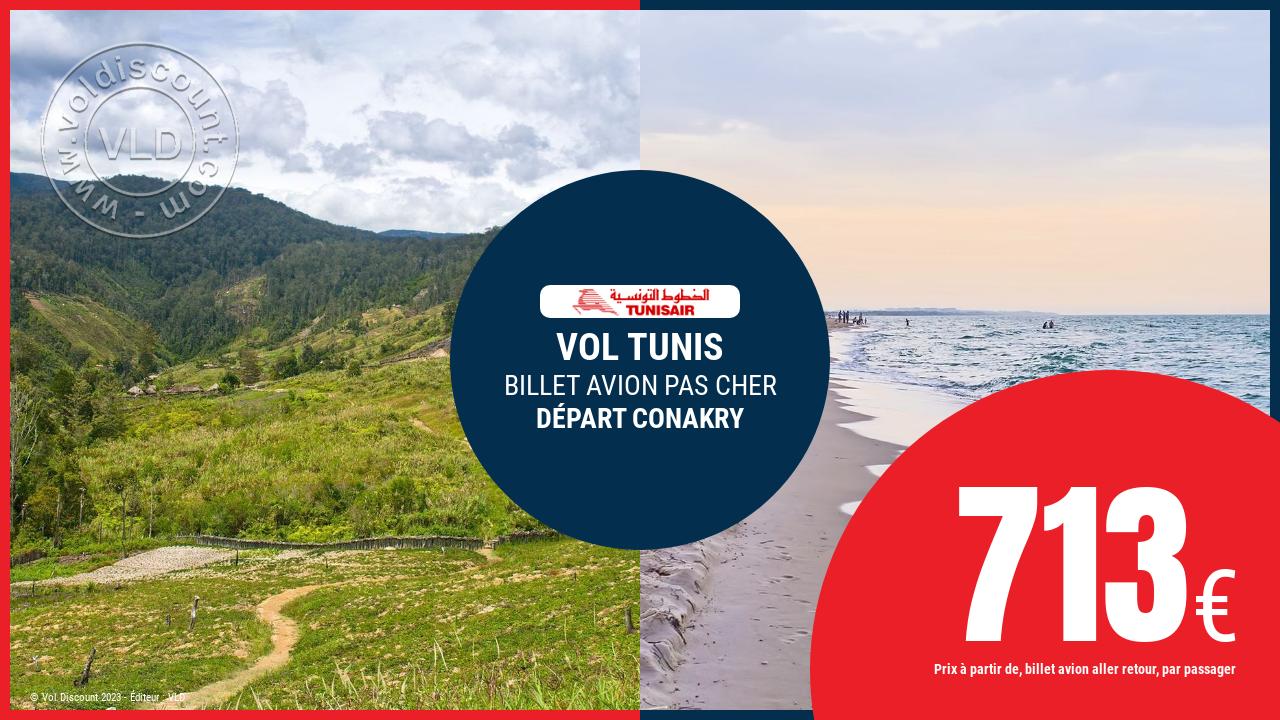 Vol sec Tunisie Tunisair